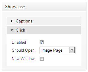 Click options for Image Showcase template