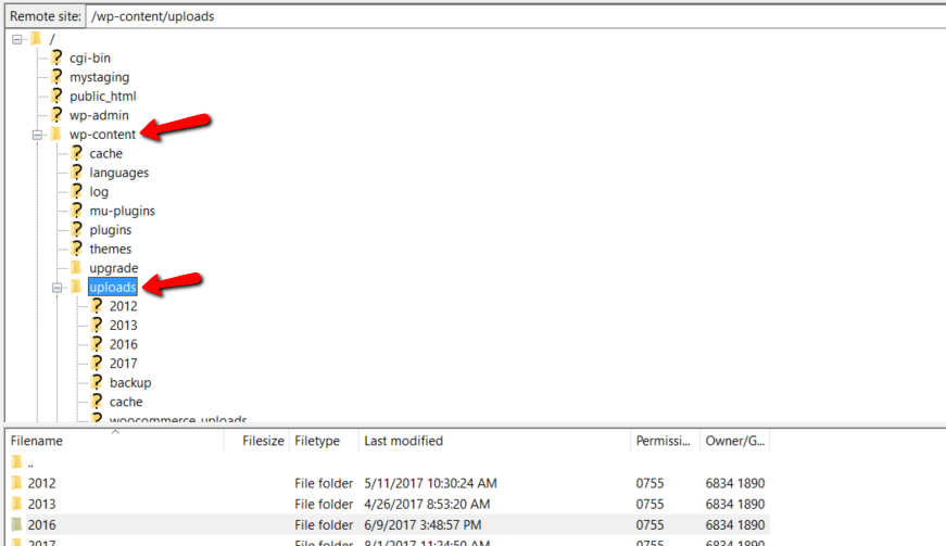 universal media server transcode folder