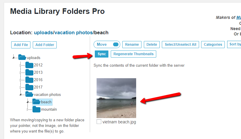 Sync FTP Server Folders With WordPress Media Library